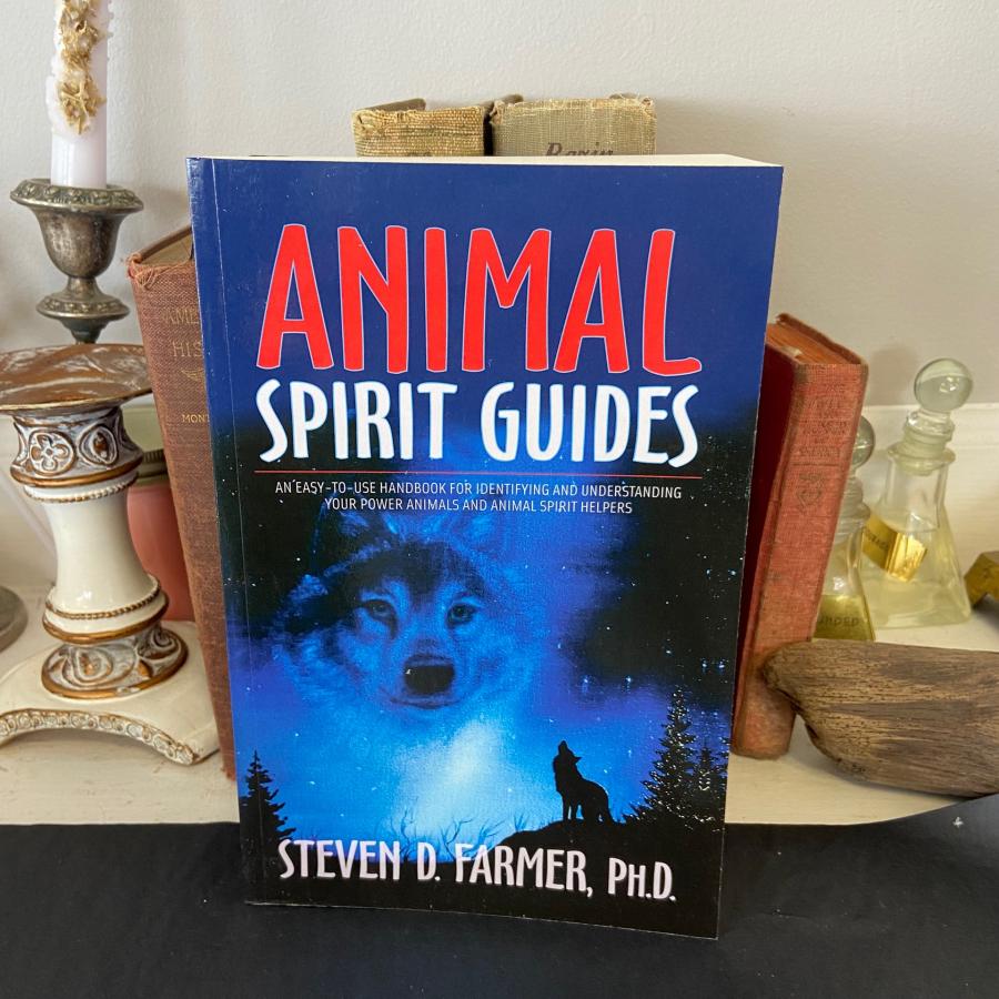 Animal Spirit Guides: An Easy-to-Use Handbook for Identifying and  Understanding Your Power Animals and Animal Spirit Helpers - Heart of Stone  Store Groveland Ma